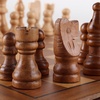 image:imageGSE Games amp Sports Expert 10 Magnetic Chess Set Wooden Chess Board Game Set with Drawers Classic Portable Travel Board Game for Kids amp Adults