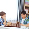 image:imageGSE Games amp Sports Expert Professional Tournament Chess Board Only Sapele amp Maple Inlaid Chessboard Chess Board for Beginners Kids Adults Extra Large 2125  Square 225 Brown6 Sapele  Maple