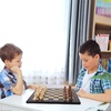 image:imageGSE Games amp Sports Expert Professional Tournament Chess Board Only Sapele amp Maple Inlaid Chessboard Chess Board for Beginners Kids Adults Extra Large 2125  Square 225 Brown6 Beech  Black Maple