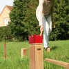 image:imageGSE Games amp Sports Expert Wooden Throwing Game 12 Numbered Block Toss Yard GameKubb Yard Game Set with Carrying Bag for Outdoor Backyard Lawn Park with Family and FriendsKubb Yard Game Set