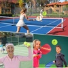 image:imageGSE Games amp Sports Expert 12Pack Outdoor Pickleball Balls Set USAPA Standard 40 Holes Pickle Balls Pickleballs Outdoor Competition Balls Ideal for All Skill Levels Several Colors AvailableGreen