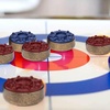 image:imageGSE Games amp Sports Expert 218 or 2516 Shuffleboard Pucks Set of 8 for Shuffleboard Table Accessories ChromeBronzeBronze  2516