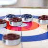 image:imageGSE Games amp Sports Expert 218 or 2516 Shuffleboard Pucks Set of 8 for Shuffleboard Table Accessories ChromeBronzeChrome  2516