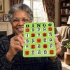 image:imageGSE Games amp Sports Expert Jumbo EasyRead Shutter Slide Bingo Cards Bulk Reusable JamProof Bingo Game Cards with Fingertip Slide Windows for Large Groups 25PackGreen