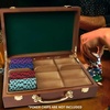 image:imageGSE Games amp Sports Expert Wooden Poker Chip Case with 5 Chip Trays Holds 500 Chips Casino Grade Chip Holder for Poker chips Oak300 Pieces  Walnut