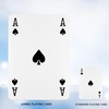 image:imageGSE Games amp Sports Expert 8 x 11 Super Jumbo Playing Cards Giant Deck of Playing Cards Oversized Full Deck Huge Poker for Adults Seniors8x11